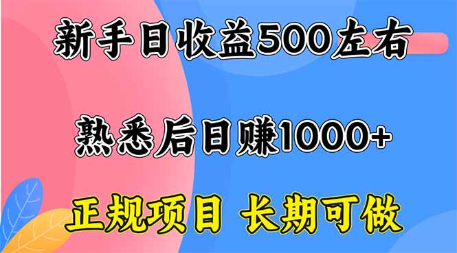 新手日收益500+ 正规项目 长期可做 - 小毅网创-小毅网创
