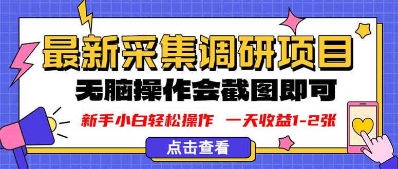新版采集调研项目，截图上传即可，无脑操作，日收益1-2张 - 小毅网创-小毅网创
