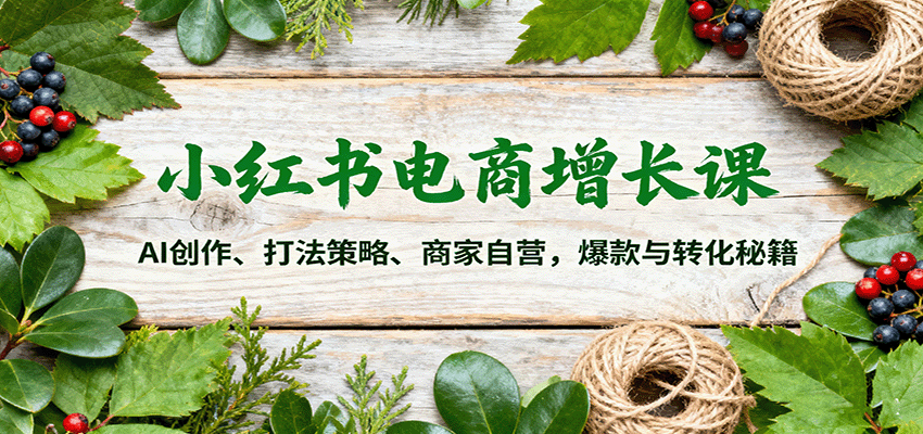 小红书电商增长课：AI创作、打法策略、商家自营，爆款与转化秘籍-创梦DreamCreation终点站