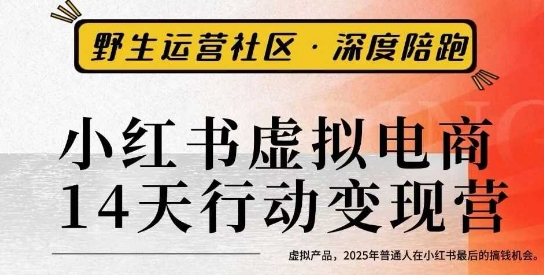 小红书虚拟电商14天变现训练营3.0，​虚拟产品，2025年普通人在小红书最后的搞钱机会-创梦DreamCreation终点站