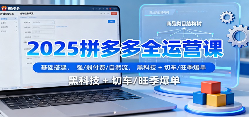 2025拼多多全运营课：基础搭建，强/弱付费/自然流，黑科技 + 切车/旺季爆单-飞叔云网创