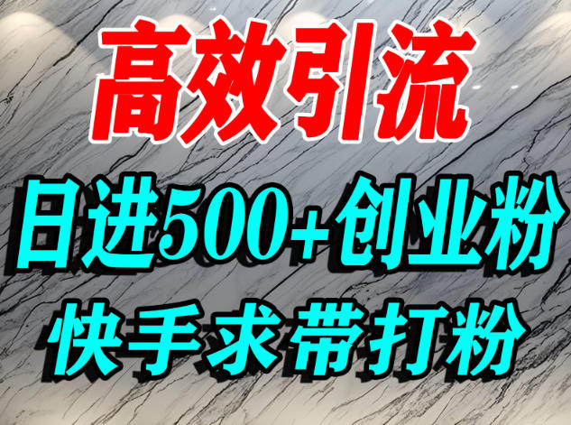 怎么打创业粉？快手求带视角精准引流创业粉，宝妈、学生群体日进500+精准流量-冒泡网创项目