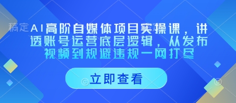 AI高阶自媒体项目实操课，讲透账号运营底层逻辑，从发布视频到规避违规一网打尽-轻创终点站