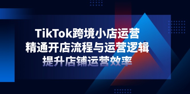 （14369期）TikTok跨境小店运营，精通开店流程与运营逻辑，提升店铺运营效率-轻创终点站