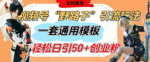 视频号“野路子”玩法，评论区疯狂截流，一套模板单日单号引流50+创业粉-轻创终点站