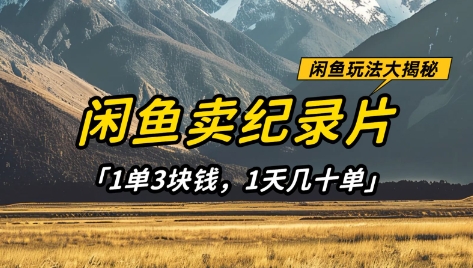 闲鱼卖纪录片1单3块钱，1天几十单，项目稳定有潜力-轻创终点站