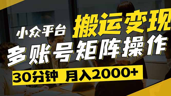 （14288期）得物平台变现新蓝海！无脑复制热门视频，多账号同步运营，每天半小时躺…-轻创终点站