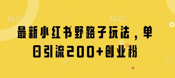 最新小红书野路子玩法，单日引流200+创业粉-轻创终点站