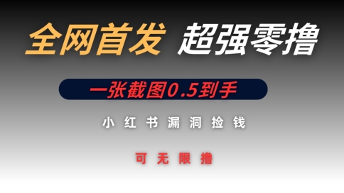 全网首发无限零撸捡钱项目，小红书一张截图0.5元可无限零撸-轻创终点站